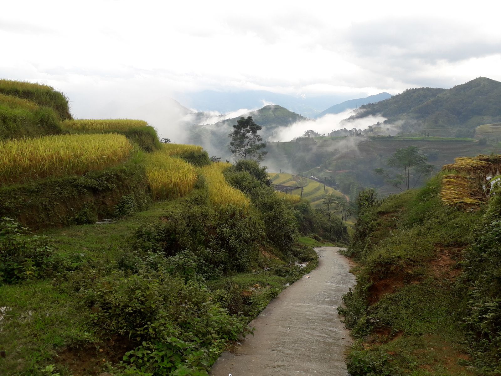 Ha Giang Loop Trekking 5 Days